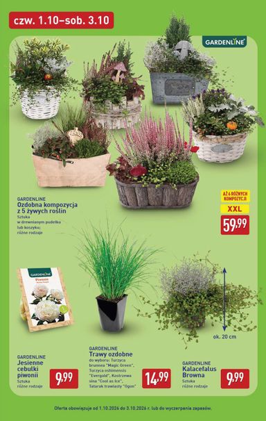 Gazetka ALDI - ALDI od 28.09. do 03.10. - strona 43