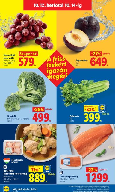 Akciós újság Lidl - Lidl érvényes 10.08.-tól 10.14.-ig - 66 oldal