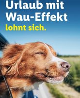Lidl - Urlaub mit Hund-Prospekt gültig ab Mittwoch 29.07.2026
