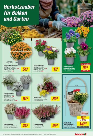 Prospekt toom - Toom gültig ab 07.09. bis 11.10. - seite 17