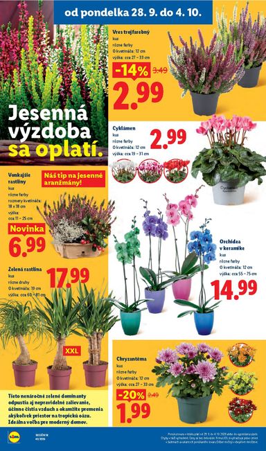 Leták Lidl - Lidl od 28.09. do 04.10. - strana 51