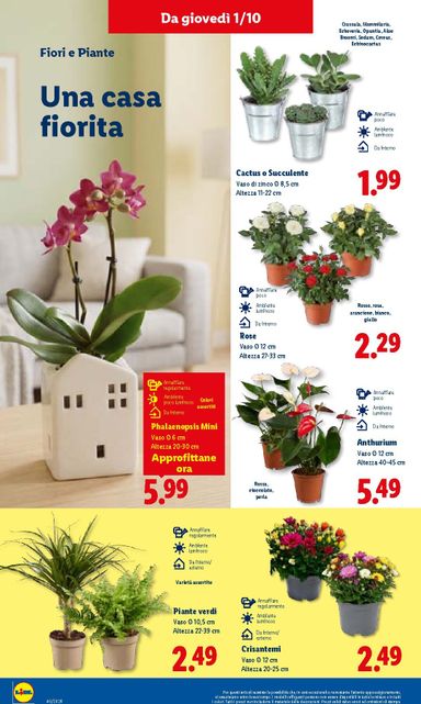 Volantino Lidl - Lidl valido dal 01/10 al 07/10 - pagina 30