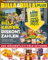 BILLA-Flugblatt