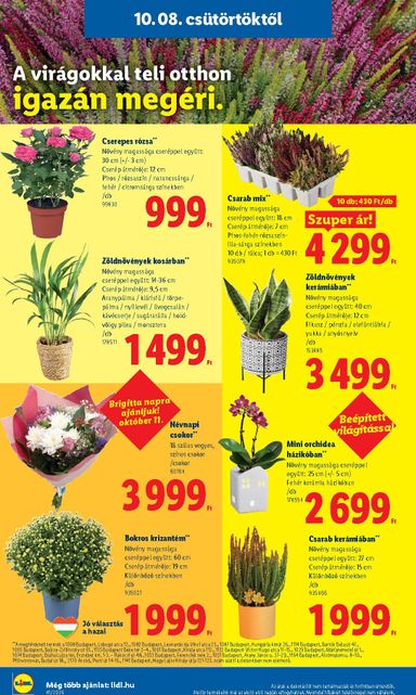 Akciós újság Lidl - Lidl érvényes 10.08.-tól 10.14.-ig - 16 oldal