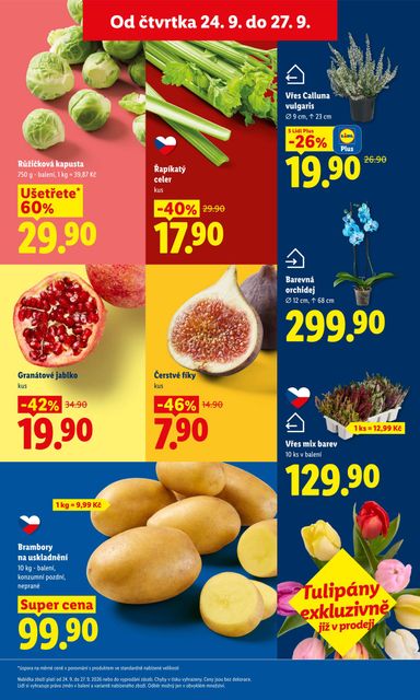 Leták Lidl - Lidl od 24.09. do 27.09. - strana 15