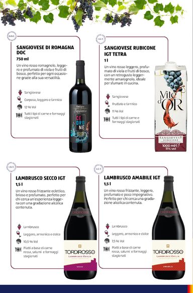Volantino ALDI - ALDI - Brochure Vinoteca valido dal 06/07 al 31/12 - pagina 24