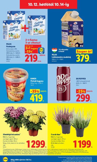 Akciós újság Lidl - Lidl érvényes 10.08.-tól 10.14.-ig - 70 oldal